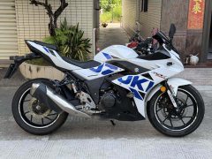 Haojue Suzuki GSX250R - photo 4