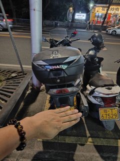Dayang V 250T - ფოტო 3