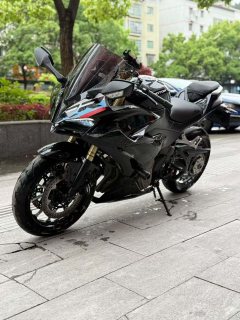 QJMOTOR Sai 450 - ფოტო 3