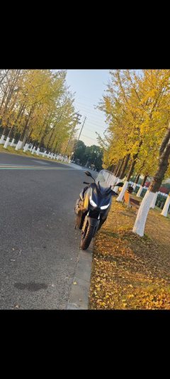 Yamaha XMAX 300 cc - ფოტო 4