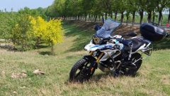 BMW G 310 GS - ფოტო 3