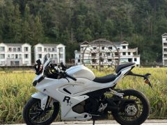 QJMOTOR SRK 250 - ფოტო 1
