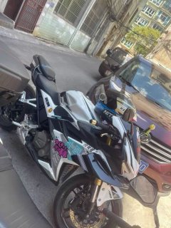 Fkm FK 3GP 250 cc - ფოტო 2