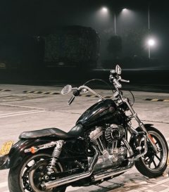 Harley-Davidson 883L SuperLow - ფოტო 1