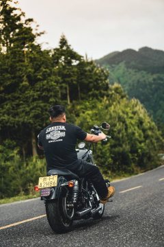 Harley-Davidson 883L SuperLow - ფოტო 2