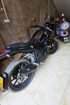 Benelli Leoncino 250 - photo 2