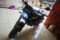 Benelli Leoncino 250 - photo 4