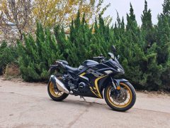 Nuoma Phantom 255S 250 cc - ფოტო 2