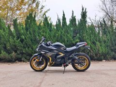 Nuoma Phantom 255S 250 cc - ფოტო 5
