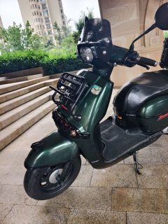Weiduoliya Sixties 300i - ფოტო 4