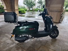 Weiduoliya Sixties 300i - ფოტო 8