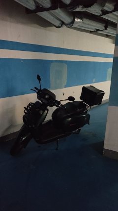 Weiduoliya Sixties 300i - ფოტო 9
