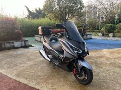 Ariic 318T 250 cc - ფოტო 2