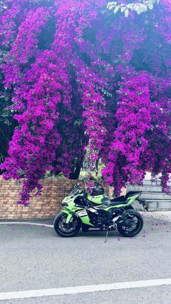 Kawasaki Ninja ZX-6R 650 cc - ფოტო 2