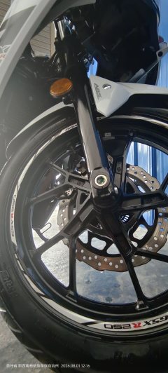 Haojue Suzuki GSX250R - photo 12