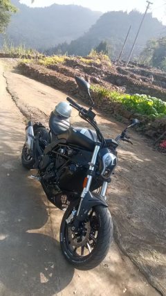 Benelli 502C 500 cc - ფოტო 1