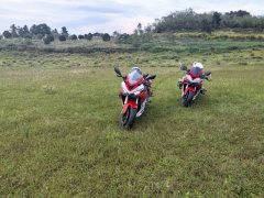 QJMOTOR Sai 600 - ფოტო 3