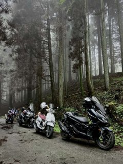 Honda NSS350 (import) - ფოტო 5