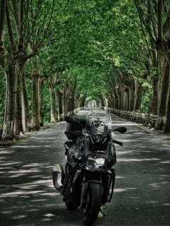 BMW C 400 350 cc - ფოტო 2