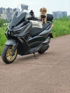 Tianying TX 150 cc - ფოტო 1