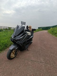 Tianying TX 150 cc - ფოტო 5