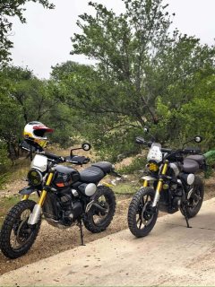 Triumph Scrambler 400 X - фото 2