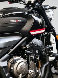 Triumph Trident 660 - ფოტო 3
