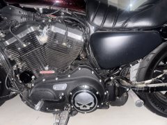 Harley-Davidson 883L SuperLow - ფოტო 4