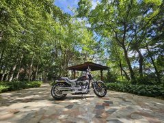 Harley-Davidson Breakout 1923 cc - ფოტო 11