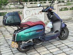 Weiduoliya Sixties 150Si - ფოტო 5