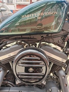 Harley-Davidson Iron883 - ფოტო 4