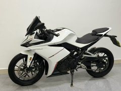 Kayo 250RR Thornbird - ფოტო 1