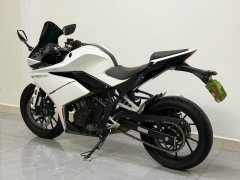 Kayo 250RR Thornbird - ფოტო 3