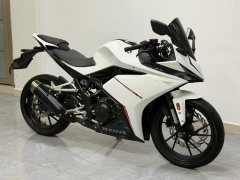 Kayo 250RR Thornbird - ფოტო 4