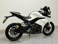 Kayo 250RR Thornbird - ფოტო 6