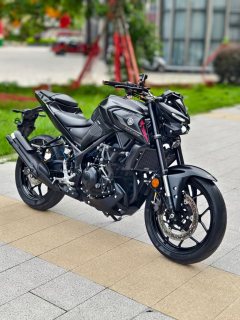 Yamaha MT-03 320 cc - фото 4