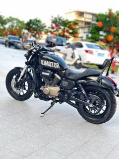 QJMOTOR Flash 300 - ფოტო 9