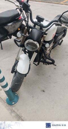QJMOTOR Flash 300 - ფოტო 4
