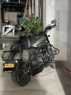 QJMOTOR 250 - ფოტო 7