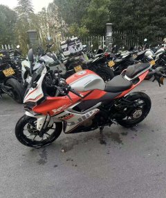 QJMOTOR SRK 250 - ფოტო 4