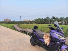 Voge SR4 Max 350 cc - ფოტო 7