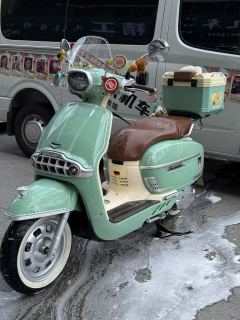 Weiduoliya Sixties 150Si - photo 2
