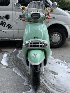 Weiduoliya Sixties 150Si - photo 3