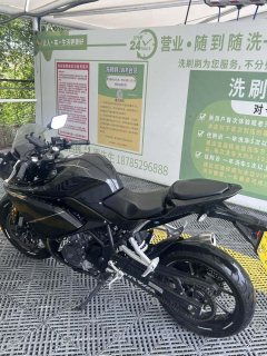 Kayo 250RR Thornbird - ფოტო 1