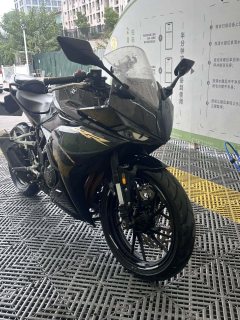 Kayo 250RR Thornbird - ფოტო 3