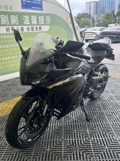Kayo 250RR Thornbird - ფოტო 4