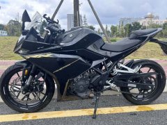 Kayo 250RR Thornbird - ფოტო 5