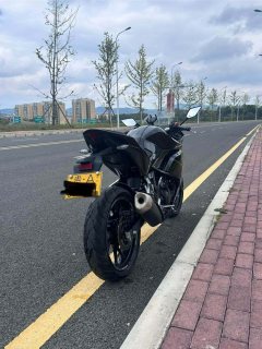 Kayo 250RR Thornbird - ფოტო 6