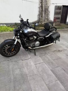 Benda Polestones 03 Gray 300 cc - photo 2