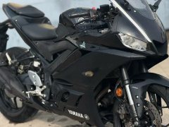 Yamaha YZF-R3 320 cc - ფოტო 2